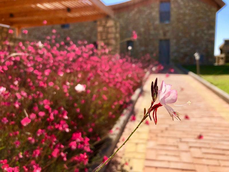 Estrella Villas Λάρδος Εξωτερικό φωτογραφία