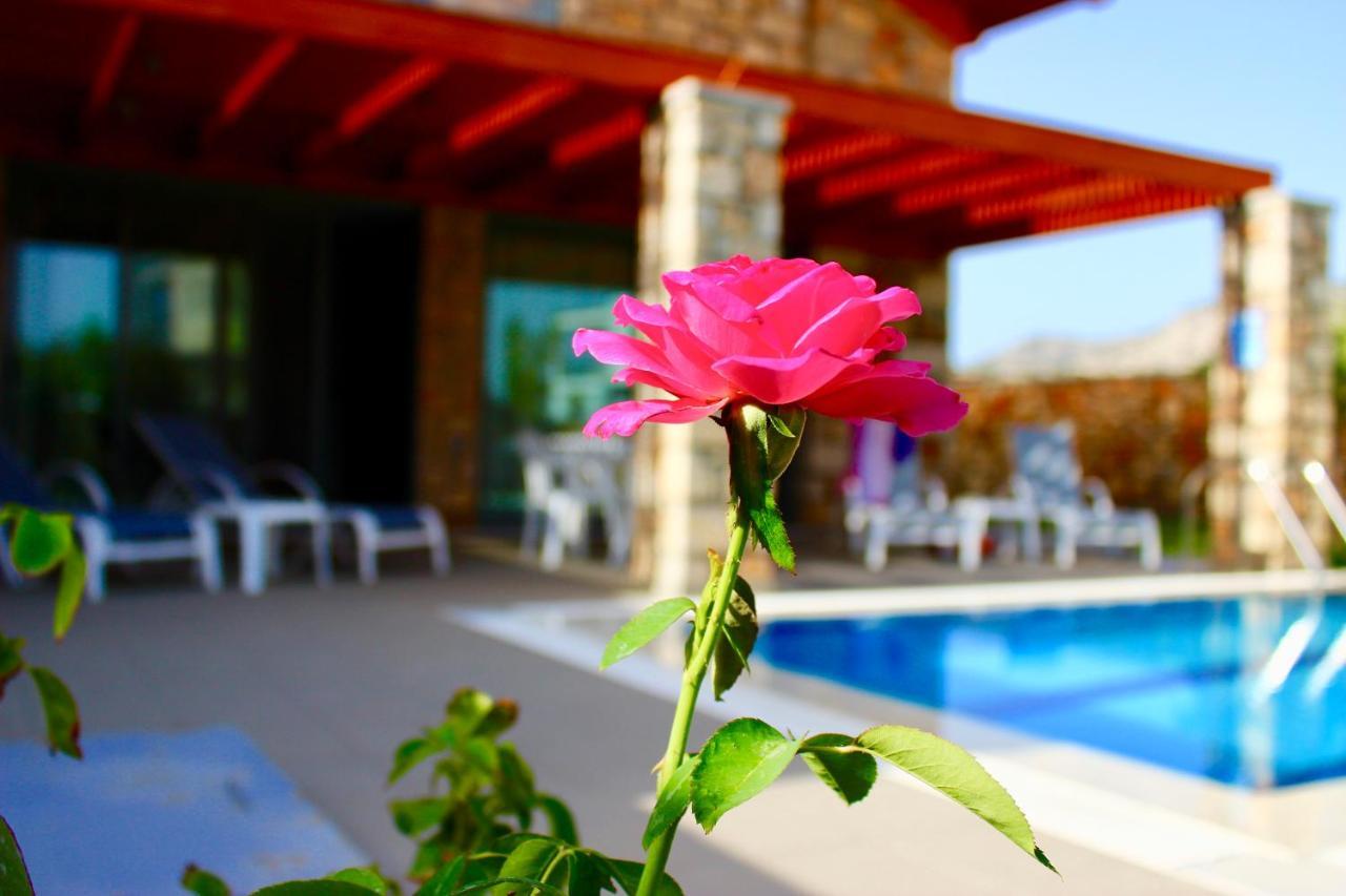 Estrella Villas Λάρδος Δωμάτιο φωτογραφία